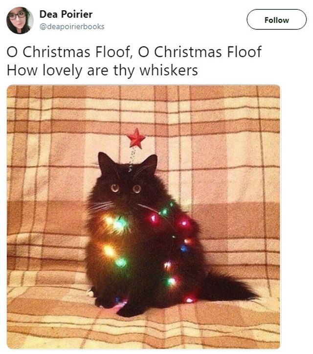 Cat decorated with Christmas lights