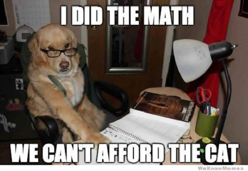 Image of dog with glasses saying I did the math we can