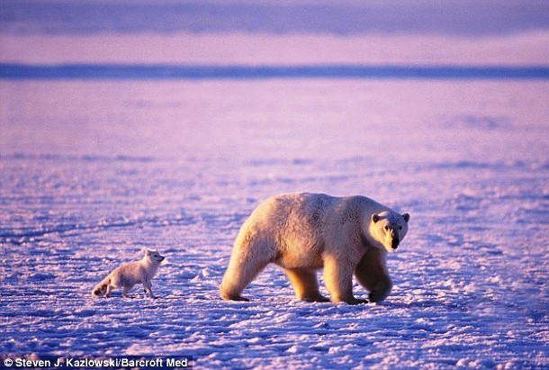 elainebp3.weebly.com 8244440_orig