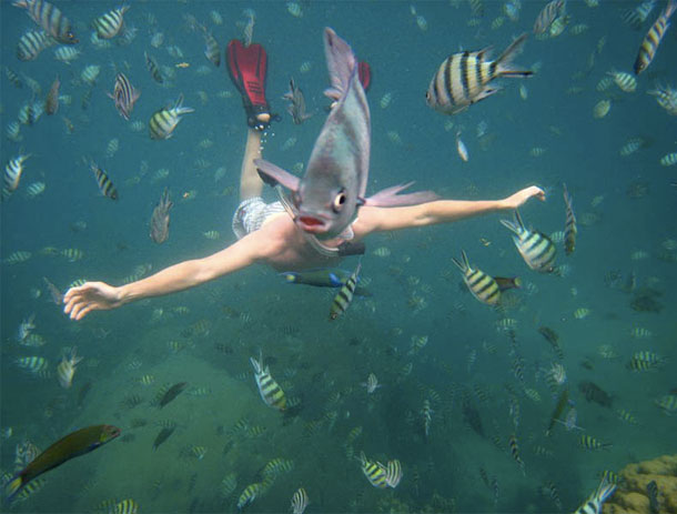 fishface