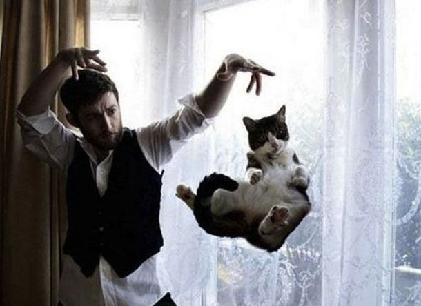 floatingcat