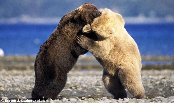 io9.com 18lsw8efgufljjpg