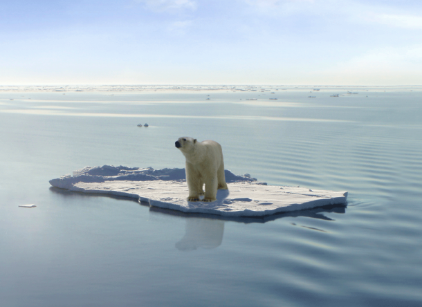 livebooklet.com 23844