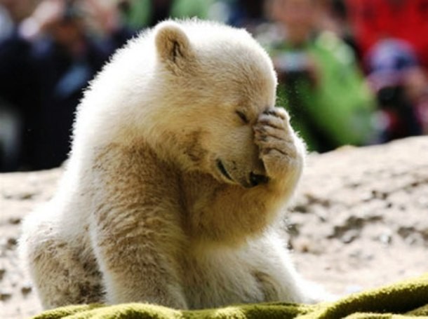 roberthanks.typepad.com 6a00e5500b4fae8833011570af0d07970b