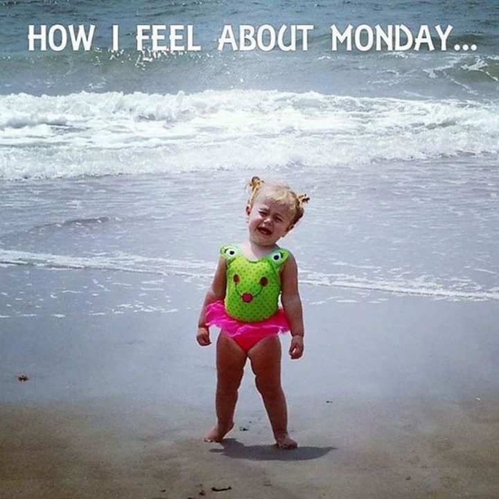 Top 65 Monday Memes - 