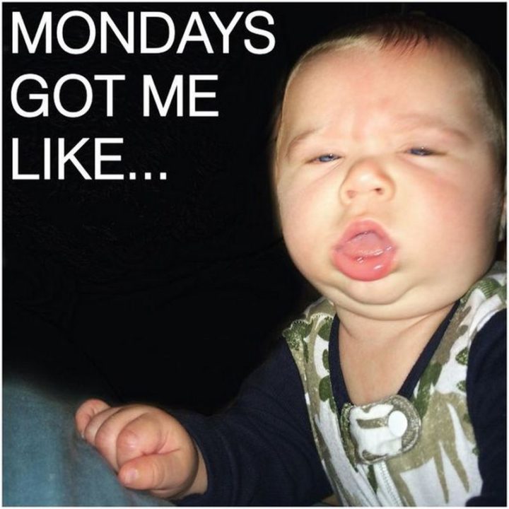 Top 65 Monday Memes - 