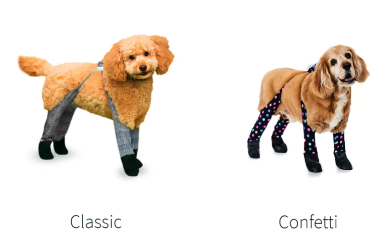 Dogs winter leggings