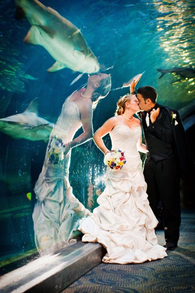 20 Photos of Coincidences That Are Hard to Believe