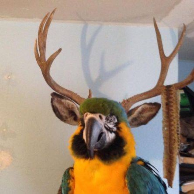 20 Photos of Coincidences That Are Hard to Believe