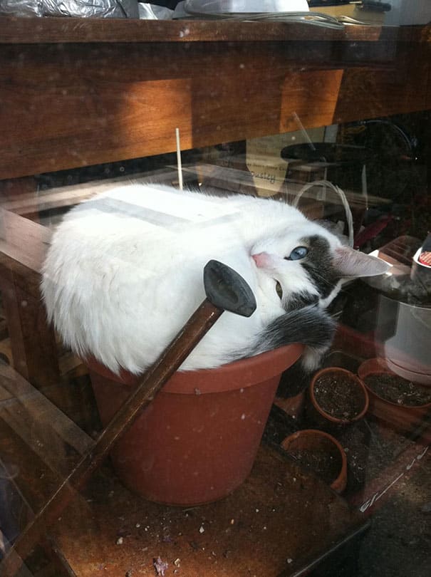 Image via rebreland.blogspot