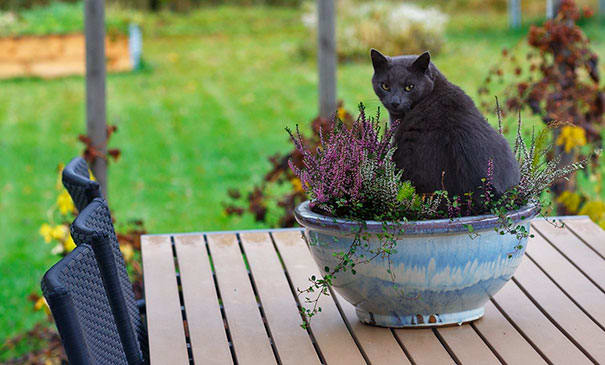 Image via Per-Anderson Nilsson