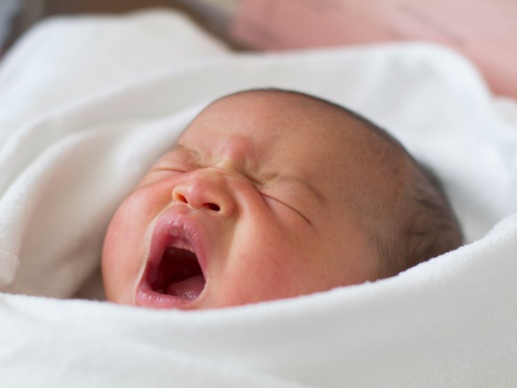 Image result for Americans Are Not Making Enough Babies cdc 750