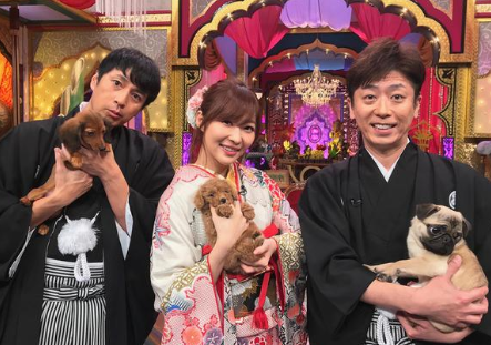 thetv.jp