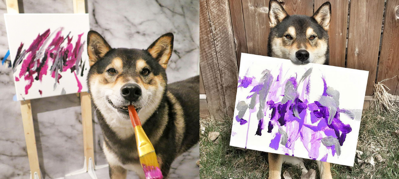 柴犬が描いた絵が実際に販売している 柴犬って賢いの Hachibachi