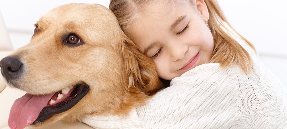 Image result for dog loving people
