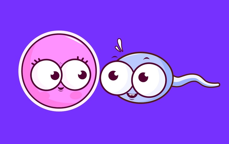 Did You Know That the Female Egg Chooses the Sperm and Not the Other Way Around?