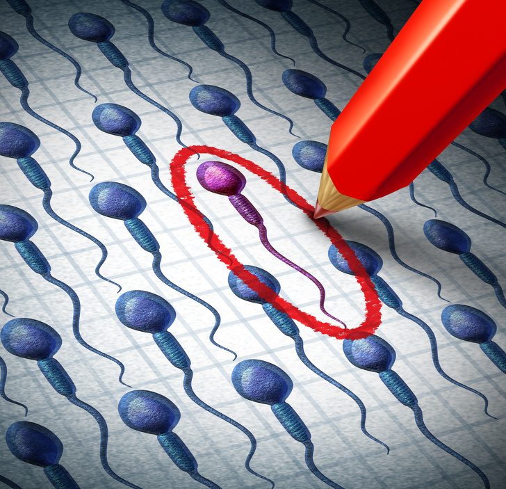 Image result for Did You Know That the Female Egg Chooses the Sperm and Not the Other Way Around?