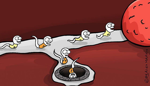 Image result for Did You Know That the Female Egg Chooses the Sperm and Not the Other Way Around?