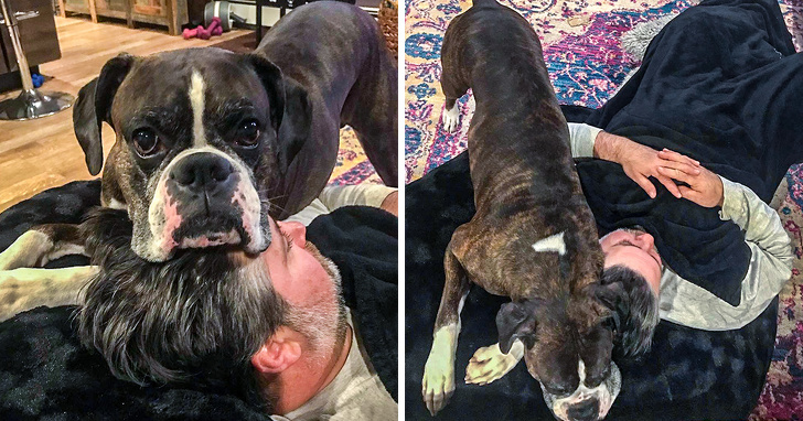 20Â Pets Who Couldnât Care Less About Their Ownersâ Personal Space