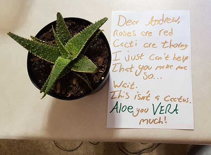 My Girlfriend Left Me A Note My Girlfriend Left Me A Note