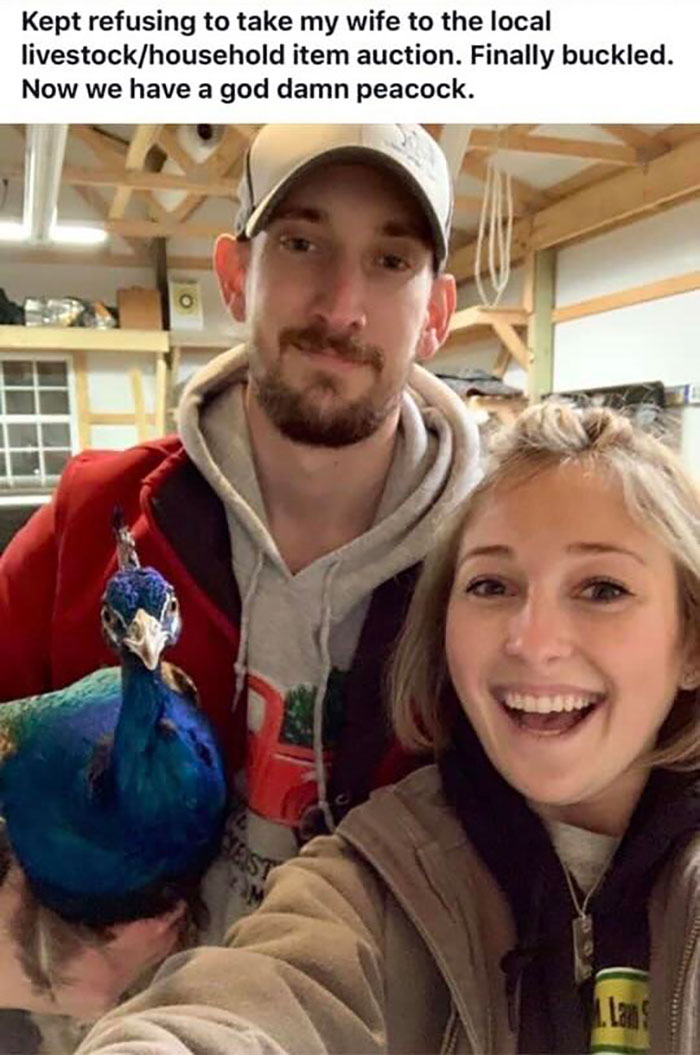 It Was A Trap It Was A Trap