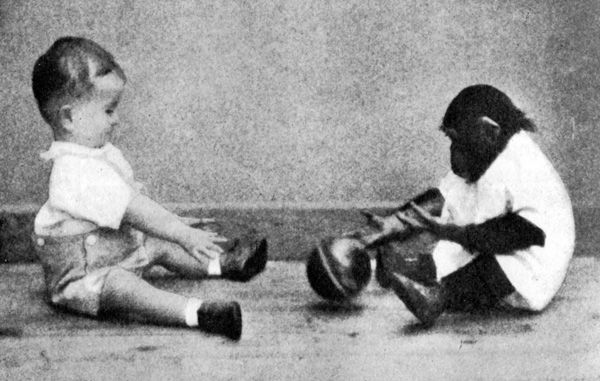 인간 아기와 침팬지 함께 키운 결과...