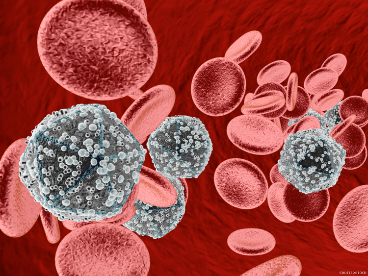 Image result for hiv virus 750