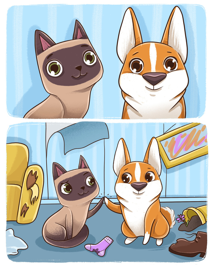 10-comics-showing-how-cats-and-dogs-are-complete-opposites-small-joys