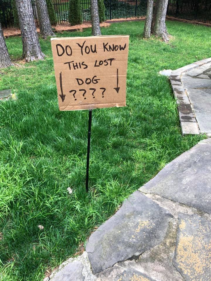 Image may contain: plant, tree, grass, outdoor and nature