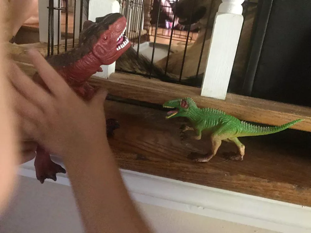 Great News! If Your Kids Have Dinosaur Obsession, Research Shows That