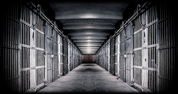 ãç£çããã®ç»åæ¤ç´¢çµæ