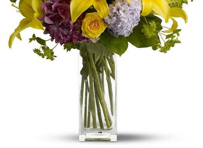 dicas-para-o-cotidiano-8