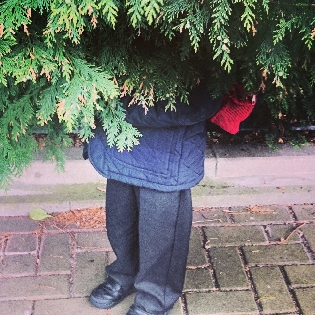 criancas-esconde-esconde-10