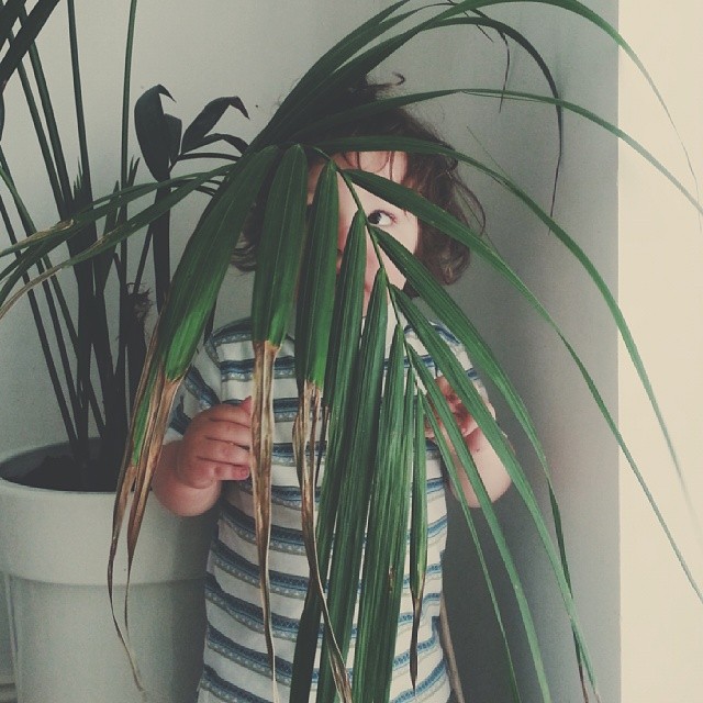 criancas-esconde-esconde-15