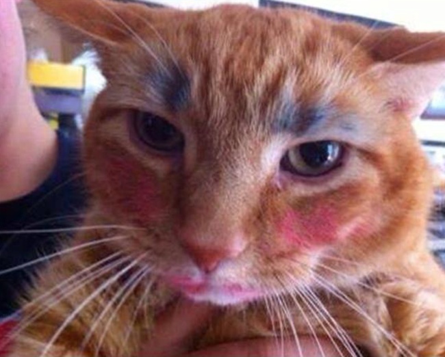 criancas-engracadas-11