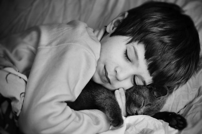 criancas-brincando-gatos-10