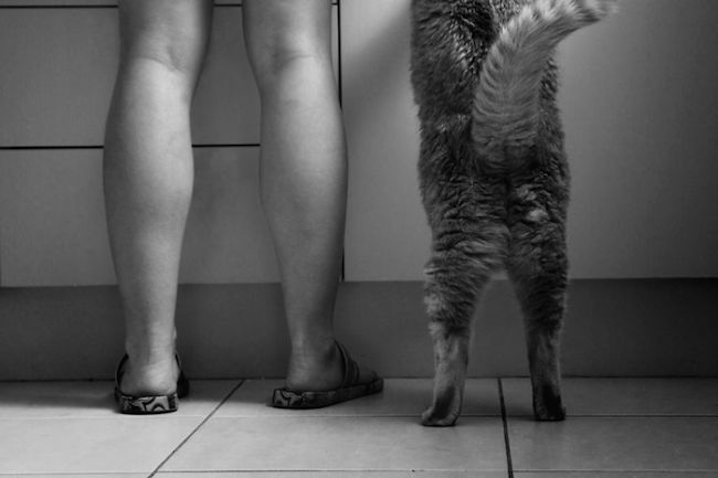 criancas-brincando-gatos-11