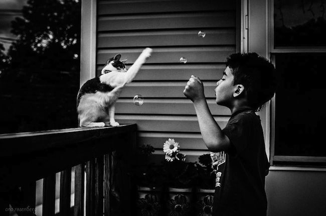 criancas-brincando-gatos-12