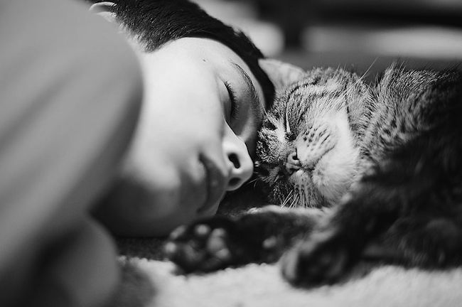 criancas-brincando-gatos-8