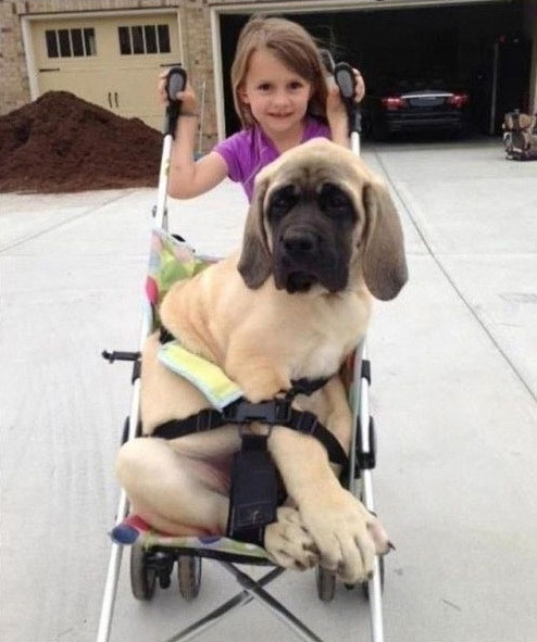 criancas-sem-nocao-15