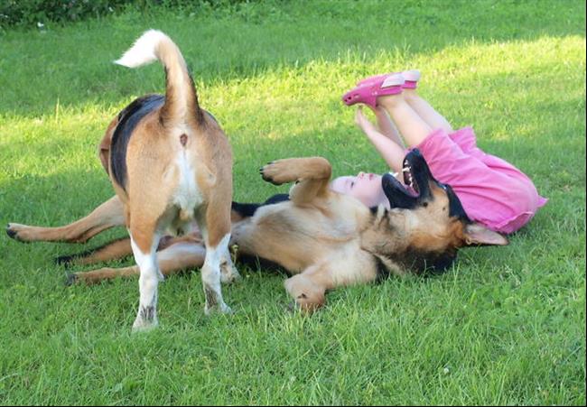 crianças-e-animais-11