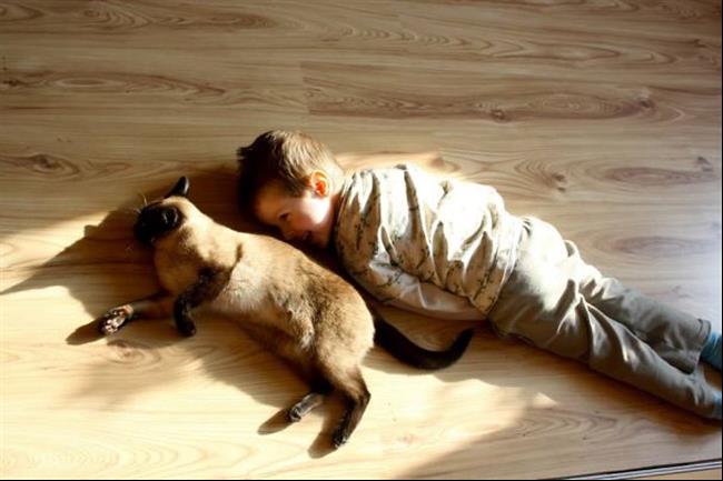 crianças-e-animais-13