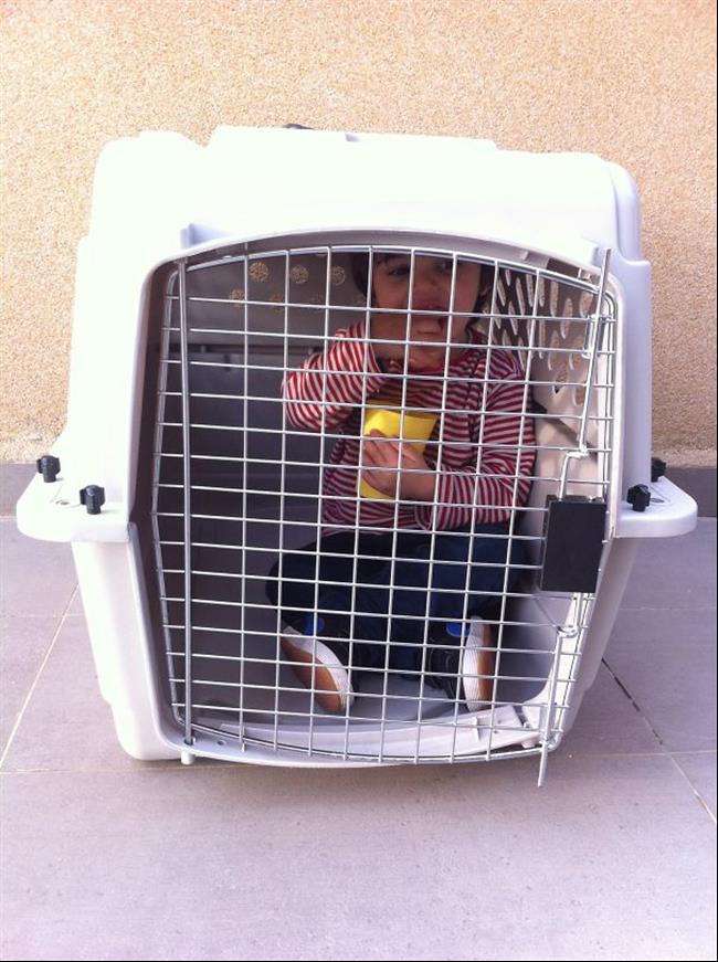 crianças-e-animais-18