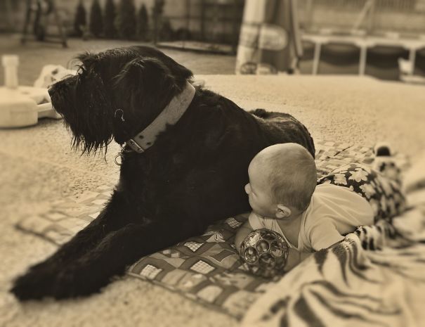 crianças-e-animais-19