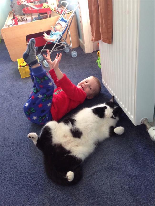 crianças-e-animais-9