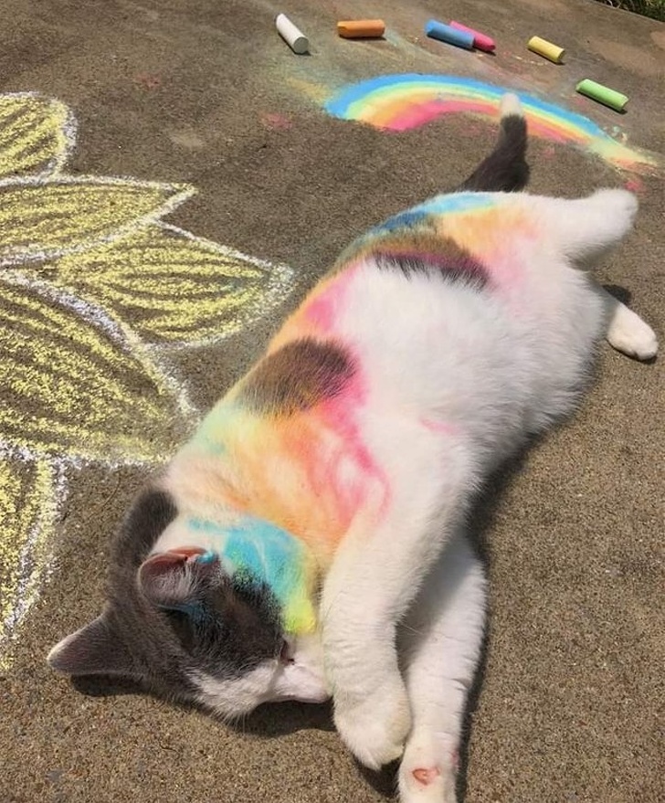 20+ Provas de que crianças são anjos e pestinhas ao mesmo tempo