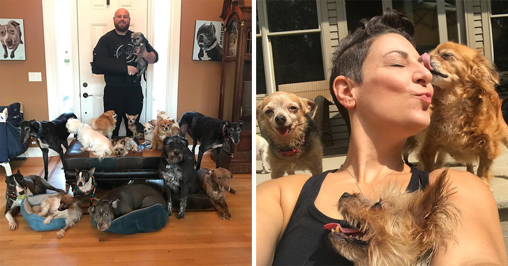 A Couple Saves More Than 100 Old Dogs Nobody Wanted, and We Can’t Hold Back Our Tears