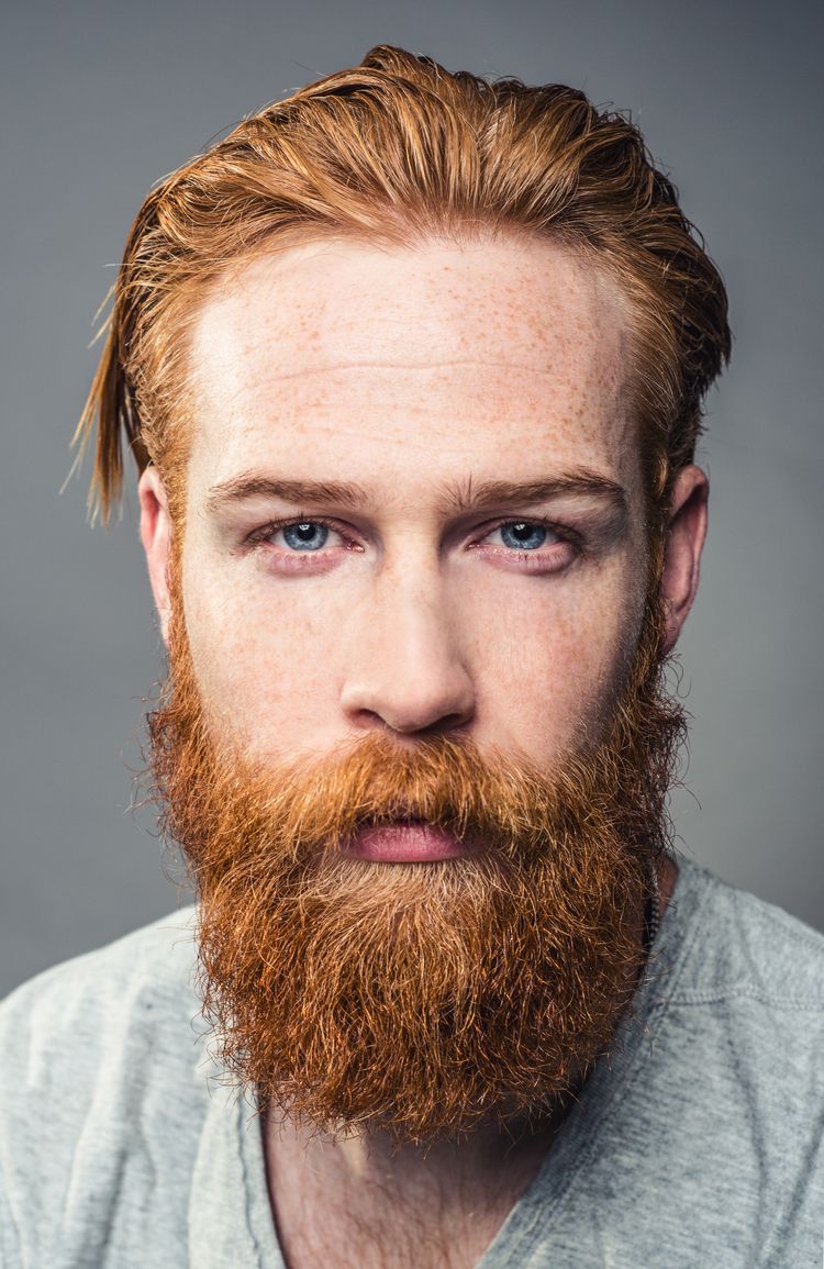 Image result for men with beards 750