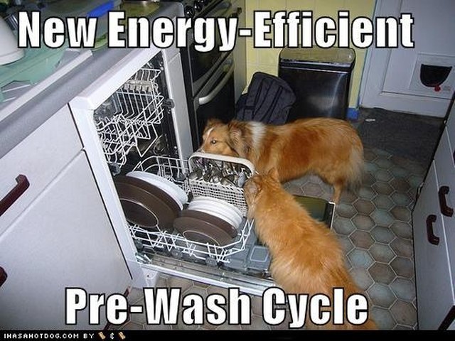 Dog and cat licking dishes in dishwasher.