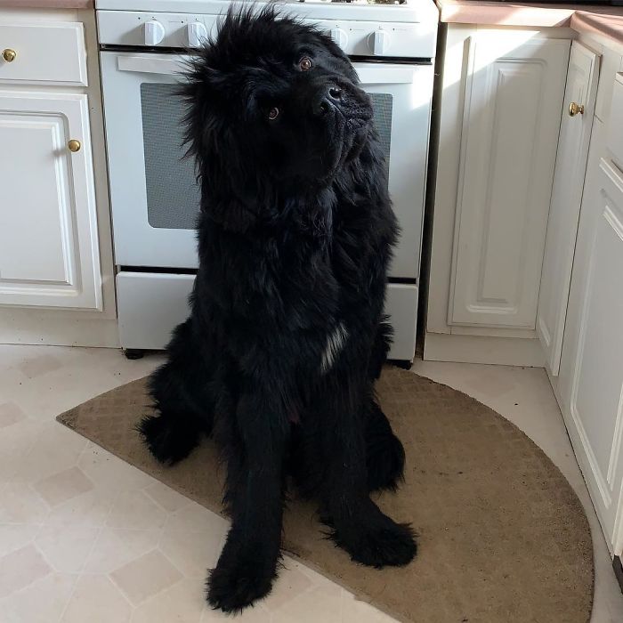 This Is Beyond A Head Tilt This Is Beyond A Head Tilt